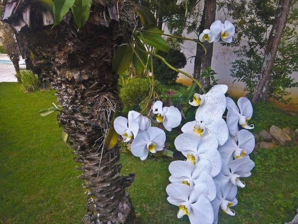 Casablanca 4* Aguas de Lindoia